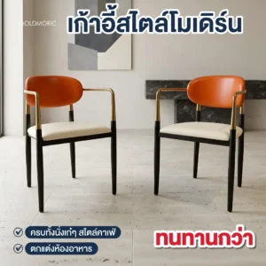 เก้าอี้รับประทานอาหาร Kate chair
