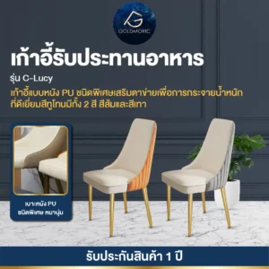 เก้าอี้รับประทานอาหาร LUCY Chair